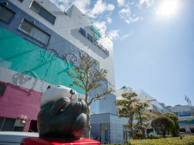 Dugong swimming at Toba Aquarium
