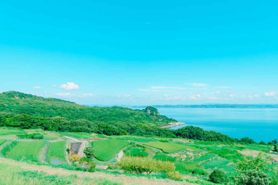 Teshima terraced rice paddies overlooking the Seto Inland Sea