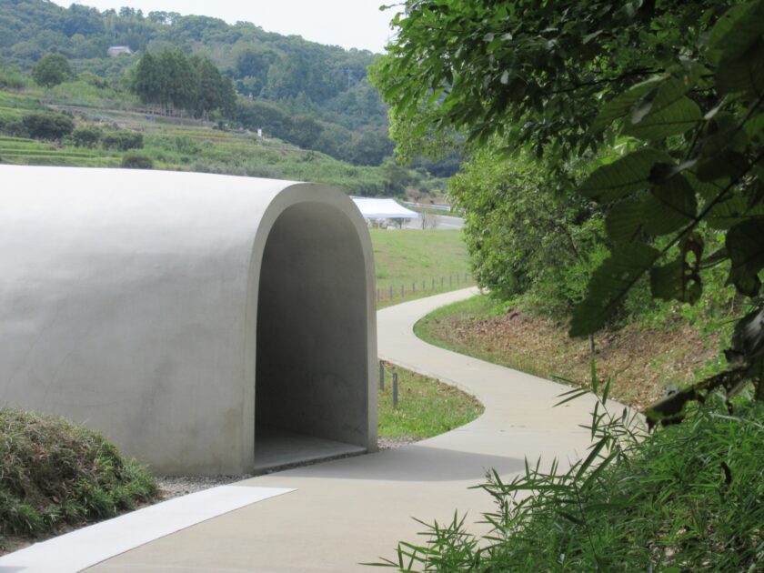 Teshima Art Museum entrance with curved white concrete shell and terraced rice paddies in background