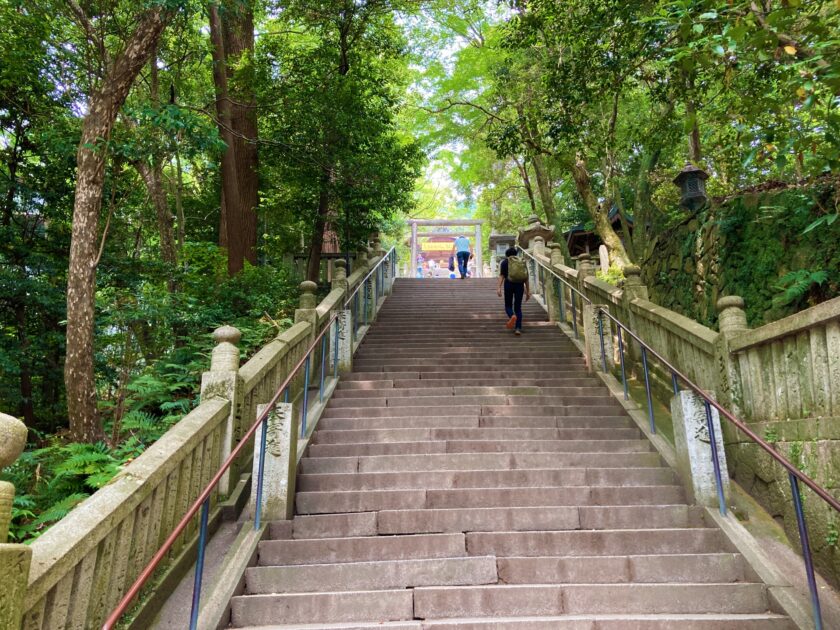 Wide stone staircase ascending through the forested grounds of Kotohira-gu Shrine