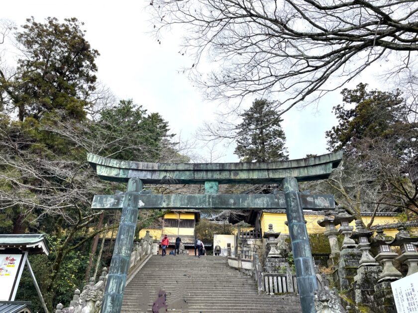 Stone steps and torii gate leading up to Kotohira-gu Shrine through forested mountainside