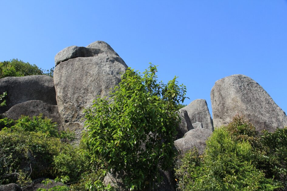 Tojindaba ancient megalith boulders scattered across hilltop grassland Kochi