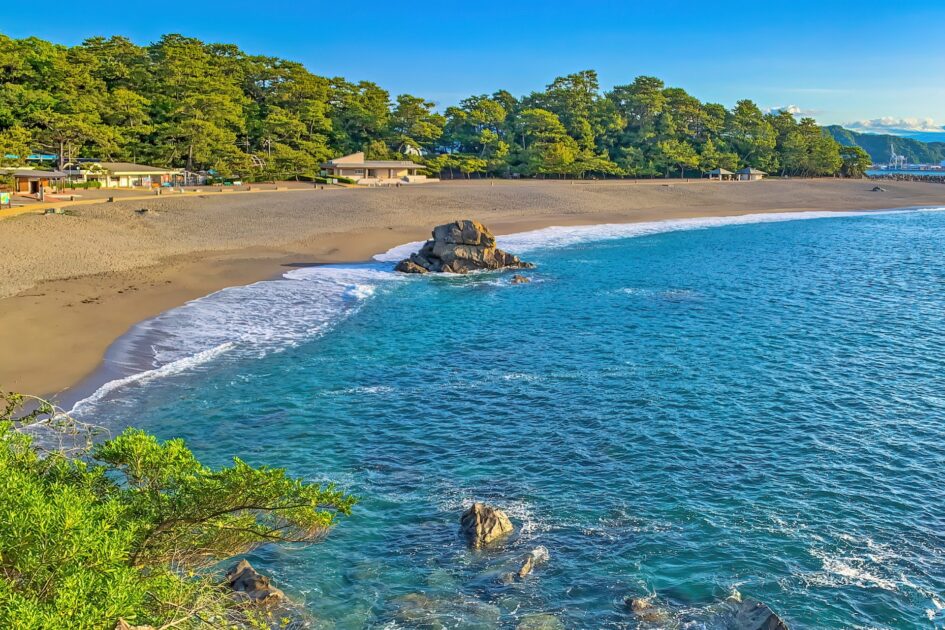 Katsurahama Beach crescent shoreline with Pacific Ocean and pine trees Kochi