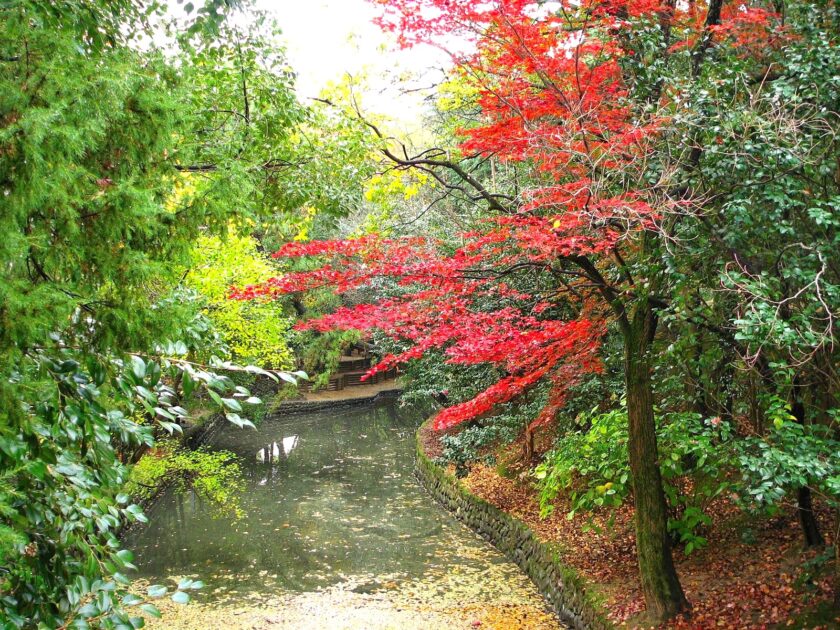 Dogo Park and Yuzuki Castle ruins with green lawns in Matsuyama
